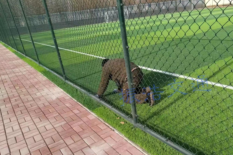 競技場のフェンス